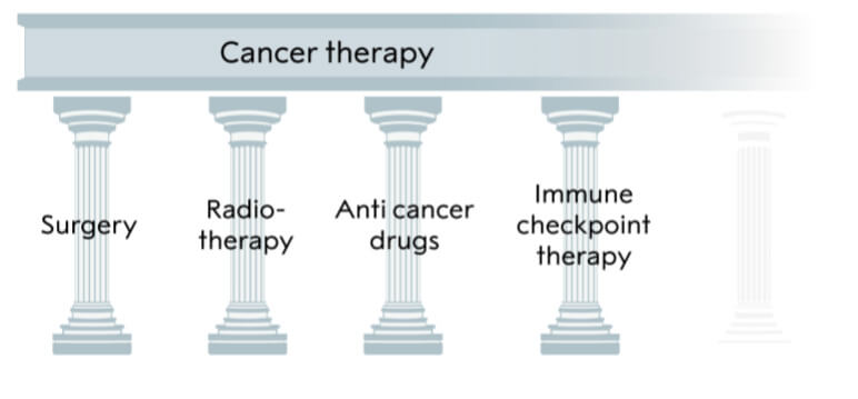 包括免疫疗法在内的癌症治疗四大支柱