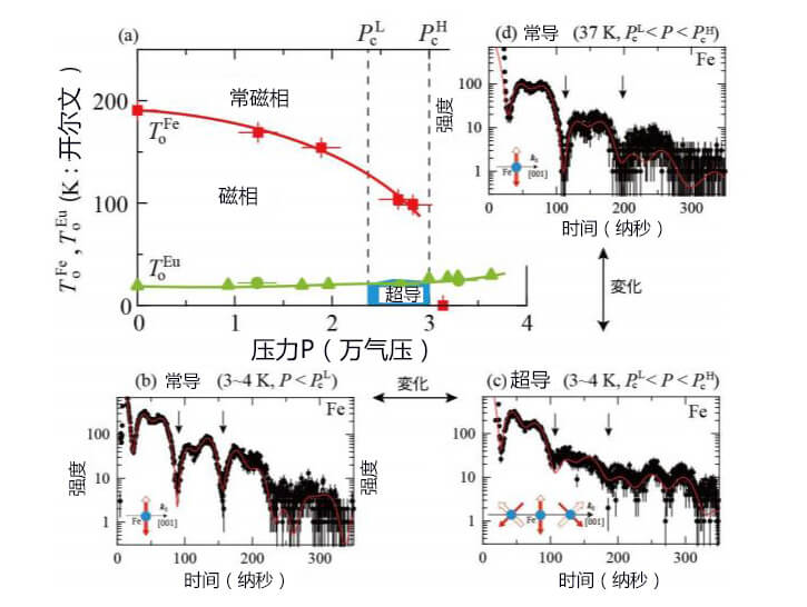 日本观测到铁基高温超导体中的磁性与超导共存现象