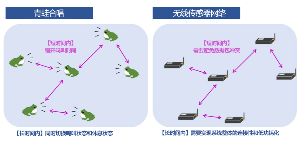 筑波大学：青蛙合唱与通信系统
