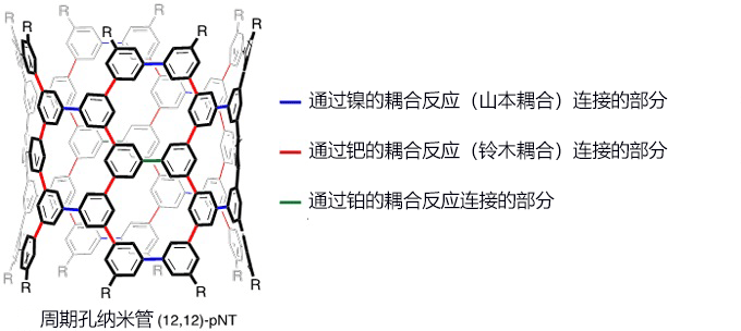 新纳米管：结构能自由设计且特质可控的周期孔纳米管pNT