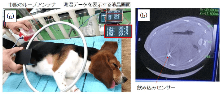 日本开发胃酸发电的 吞入型体温计