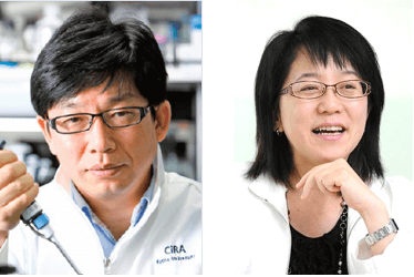 日本iPS细胞研究报告(廿九) 理研篇：确认视网膜移植试验安全性