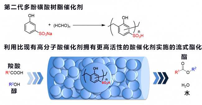 日本开发出兼备高活性和高耐久性的酯化用途固化催化剂