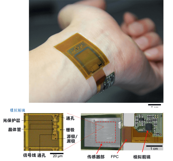 全球首次！日本成功用一枚片状图像传感器同时测量指纹、静脉图像和脉搏