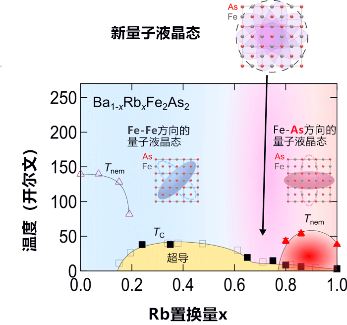东京大学等发现铁基超导的新量子液晶态