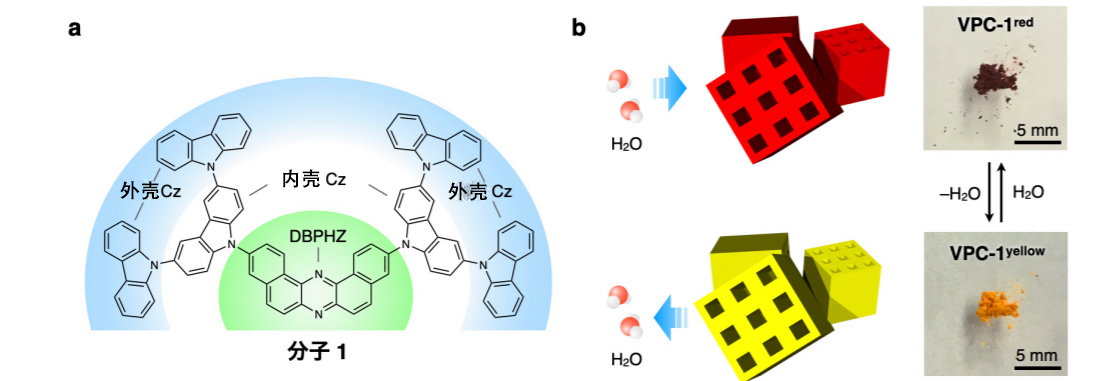 筑波大学等开发成功随湿度变色的新型分子性多孔晶体 客观日本