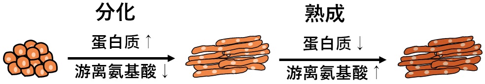 title
