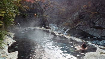 【日本知名温泉】（六）盐原温泉乡：新绿和红叶名胜地，11处富有个性的温泉一字排开