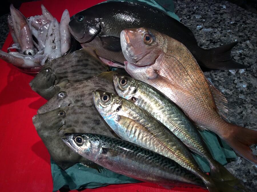 日本吃鱼的故事 种类 客观日本