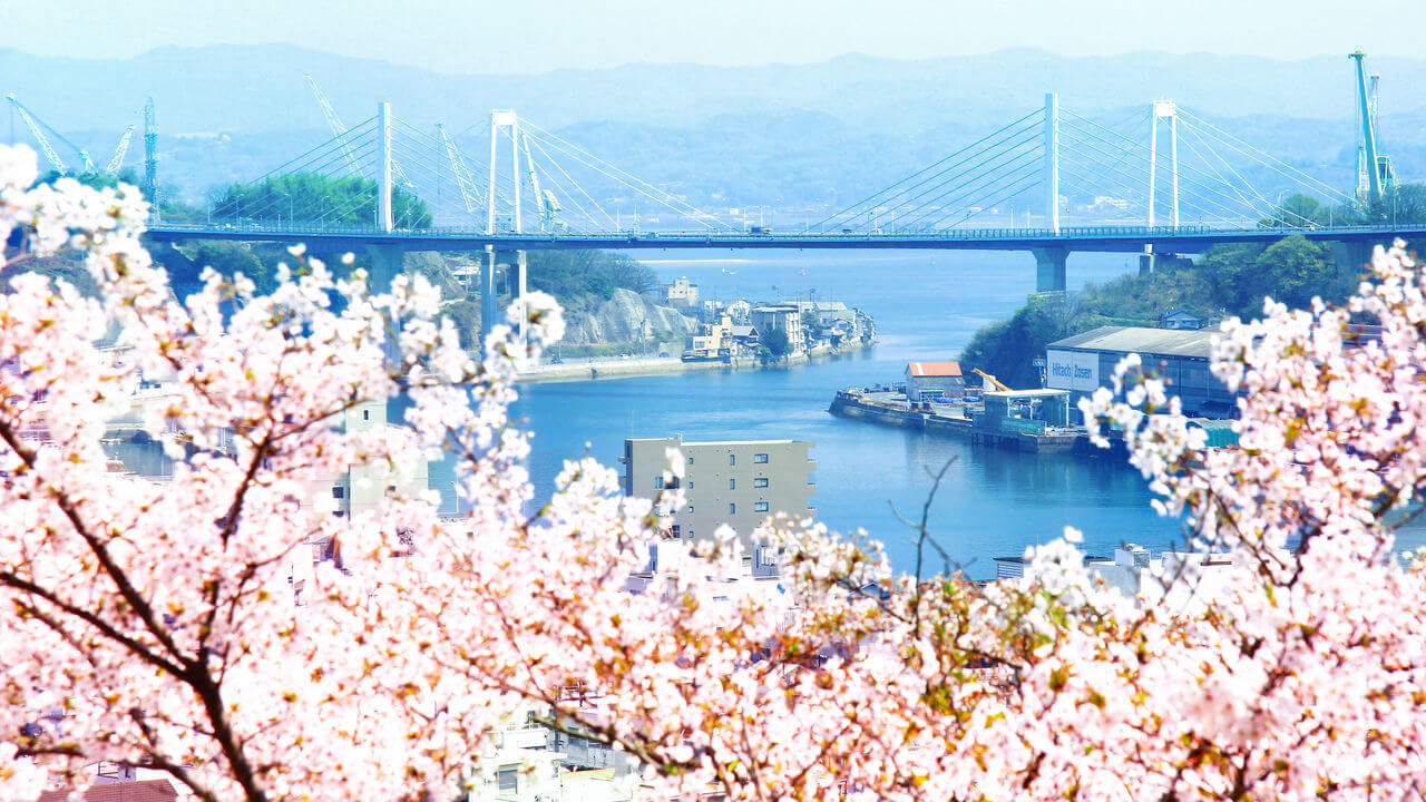 广岛县尾道市千光寺：山城的樱花和巨石名胜