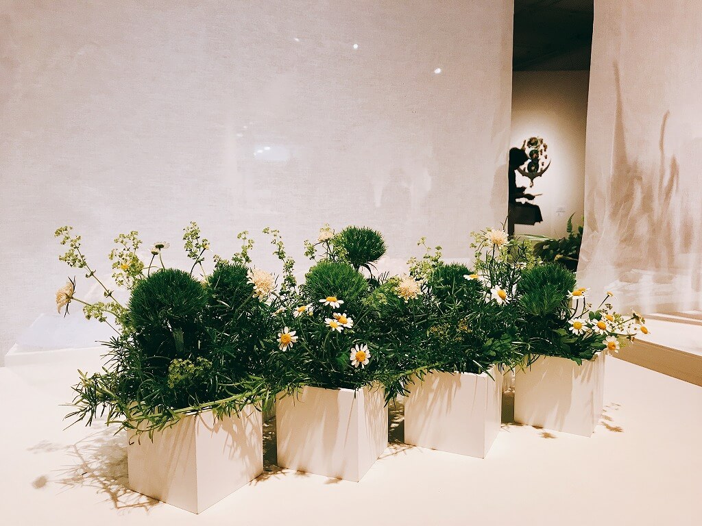 日本花艺展上的诗与技 美与男 客观日本