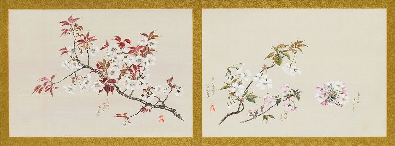 樱花与名画演绎的视觉盛宴：美术馆的春天